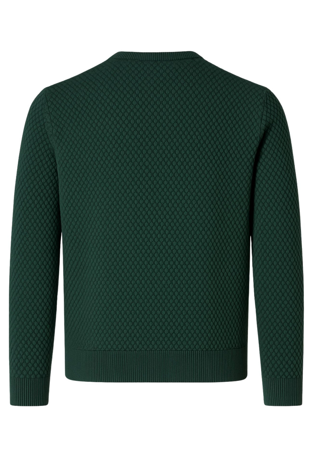 Maglia uomo maglioncino girocollo cotone trama nido d'ape - VERDE
