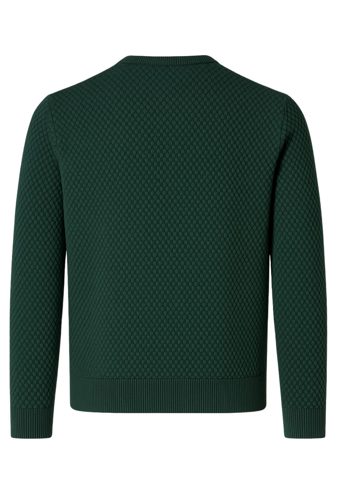 Maglia uomo maglioncino girocollo cotone trama nido d'ape - VERDE