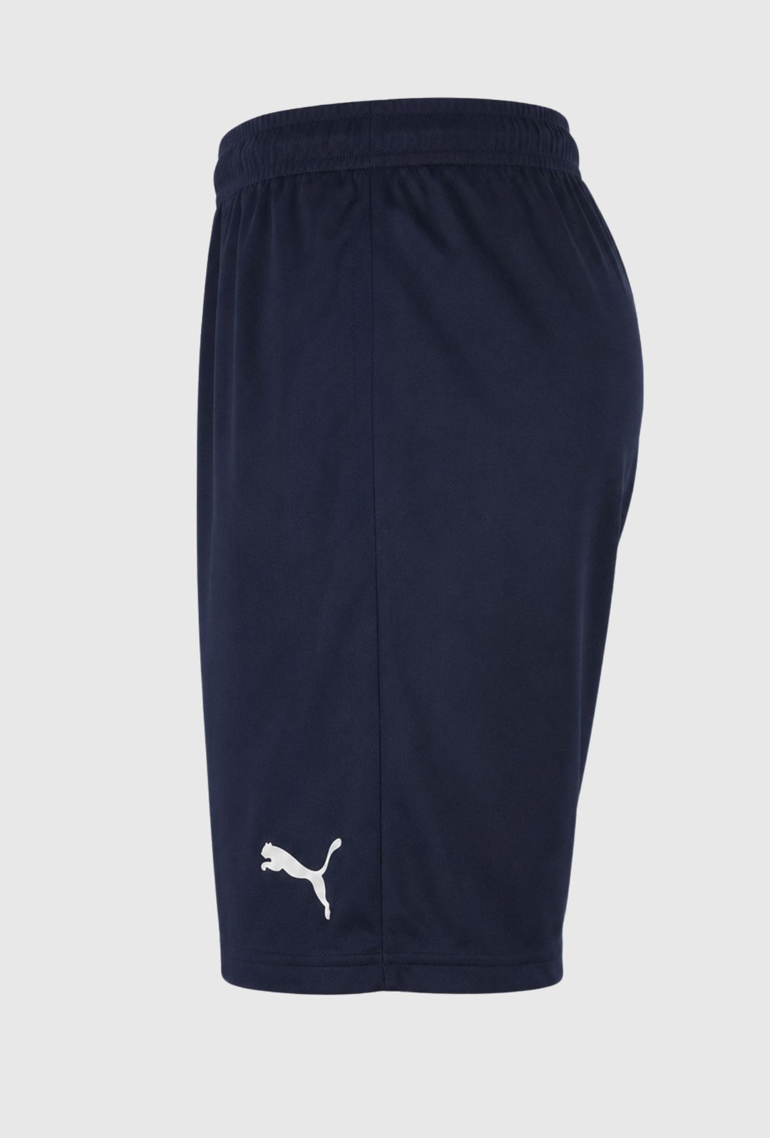 Short uomo Puma- BLU