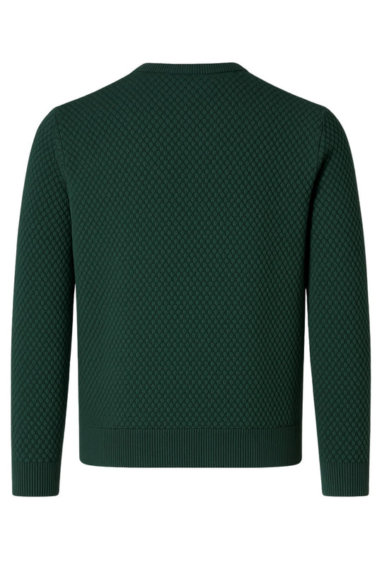 Maglia uomo maglioncino girocollo cotone trama nido d'ape - VERDE