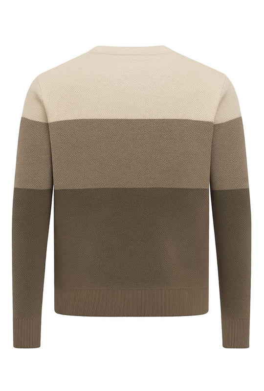 Maglione uomo girocollo Trama lavorata, semi slim fit - BEIGE